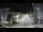 Webcam in Agropoli, 11.6 mi away