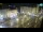 Webcam in Zagabria, 47.5 km
