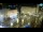 Webcam in Zagreb, 2.5 km entfernt
