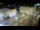 Webcam in Zagreb, 0.1 mi away