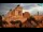 Webcam in Rome, 0.3 mi away