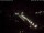 Webcam in Görlitz, 30.9 km
