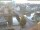 Webcam in Görlitz, 5.4 mi away