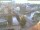 Webcam in Görlitz, 16 km entfernt