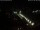 Webcam in Görlitz, 17.6 km