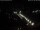 Webcam in Görlitz, 7.8 mi away