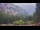 Webcam in Schwangau, 3.6 km