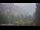 Webcam in Schwangau, 3.5 km