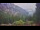 Webcam in Schwangau, 3.5 km