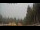 Webcam in Schwangau, 3.5 km