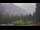 Webcam in Schwangau, 7.1 km entfernt