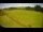 Webcam in Princetown, 11.4 km