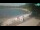 Webcam in Novigrad, 1 km entfernt