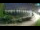 Webcam in Novigrad, 5.6 km