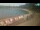 Webcam in Novigrad, 0.3 mi away