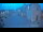 Webcam in Cantiano, 44.7 km entfernt