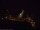 Webcam in Schwedt (Oder), 0 mi away