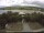 Webcam in Schwedt (Oder), 37.7 km