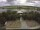 Webcam in Schwedt (Oder), 14.5 mi away