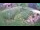 Webcam in Ljubljana, 0.9 mi away