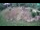 Webcam in Ljubljana, 0.1 mi away
