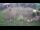 Webcam in Ljubljana, 12.2 km