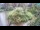 Webcam in Ljubljana, 11 km entfernt