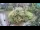 Webcam in Lubiana, 0.1 km