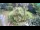 Webcam in Lubiana, 0.2 km
