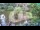 Webcam in Ljubljana, 27.8 km entfernt