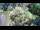 Webcam in Lubiana, 19.3 km