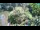 Webcam in Ljubljana, 0.1 km entfernt