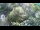 Webcam in Lubiana, 0.2 km