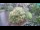 Webcam in Lubiana, 13.8 km