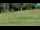 Webcam in Pamparato, 1.7 km