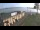 Webcam in Ter Aar, 8.1 mi away