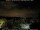 Webcam in Berlin, 12.9 km entfernt