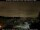 Webcam in Berlin, 13 km entfernt