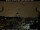 Webcam in Berlin, 8.4 mi away
