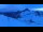 Webcam in Hintertux, 3.1 km