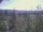 Webcam in Eggedal, 233.2 km entfernt