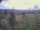 Webcam in Eggedal, 50.8 km
