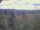 Webcam in Eggedal, 66.2 km