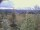 Webcam in Eggedal, 72.1 km