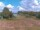 Webcam in Rhede, 2.5 mi away