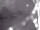 Webcam in Rhede, 2.5 mi away
