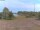 Webcam in Rhede, 50.2 km