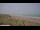 Webcam in Longeville-sur-Mer, 20.2 km
