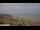 Webcam in Longeville-sur-Mer, 3.6 km