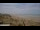 Webcam in Longeville-sur-Mer, 3.6 km